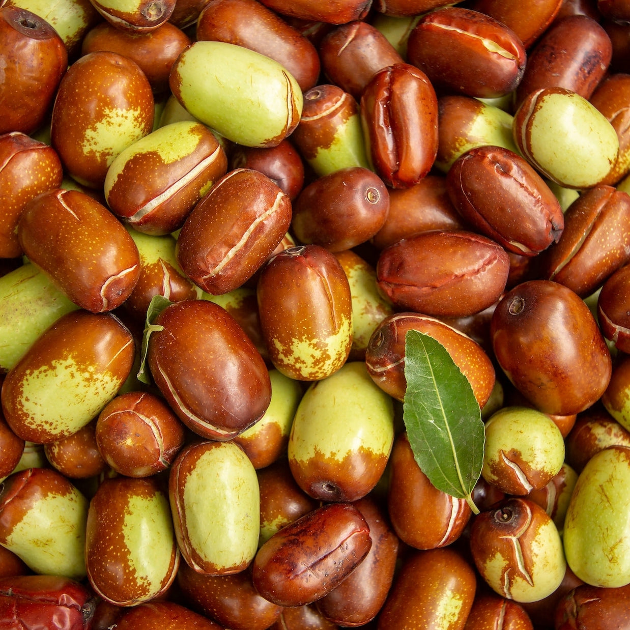Organic Jojoba Oil